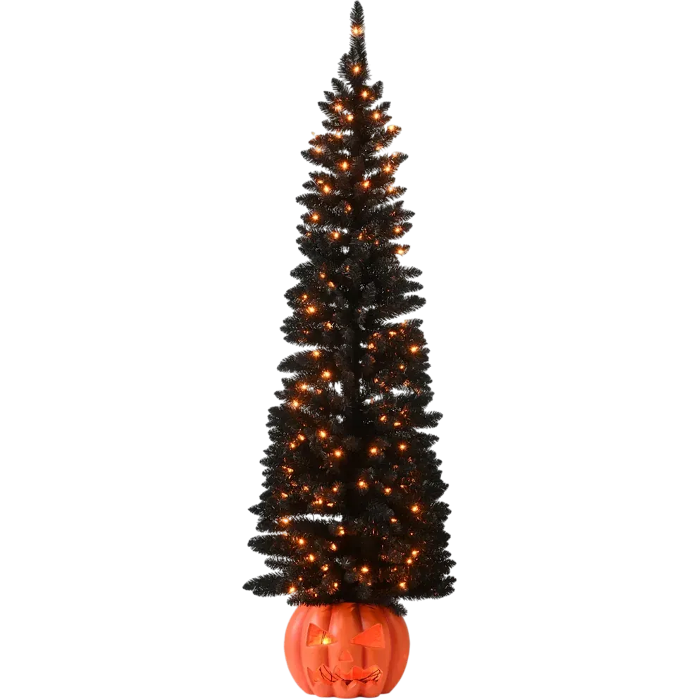 National Tree Company 6&