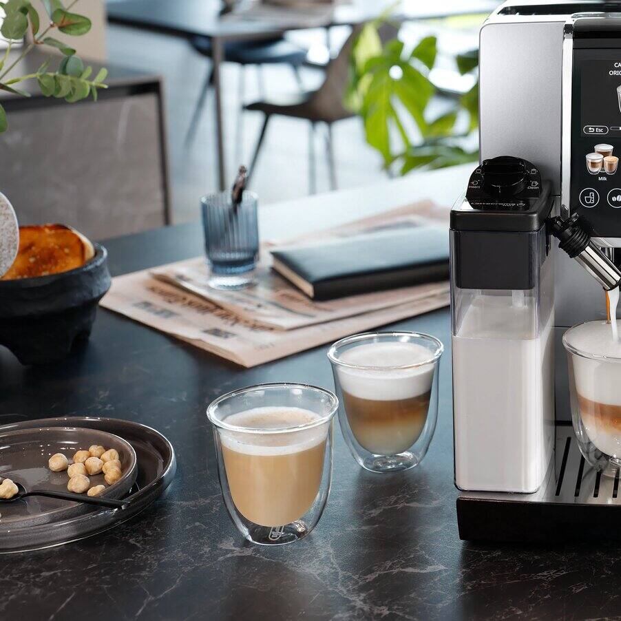 Dinamica Plus, Silver Black