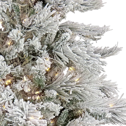 National Tree Company 7.5&
